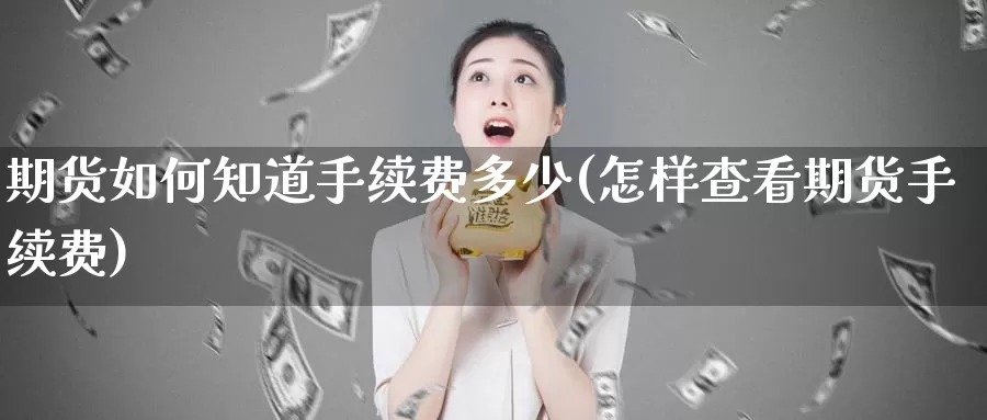 期货如何知道手续费多少(怎样查看期货手续费)_https://www.ydgjhzpt.com_恒指手续费_第1张